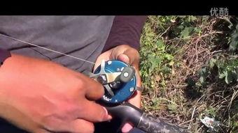 钓鱼看票视频,看票技巧大公开